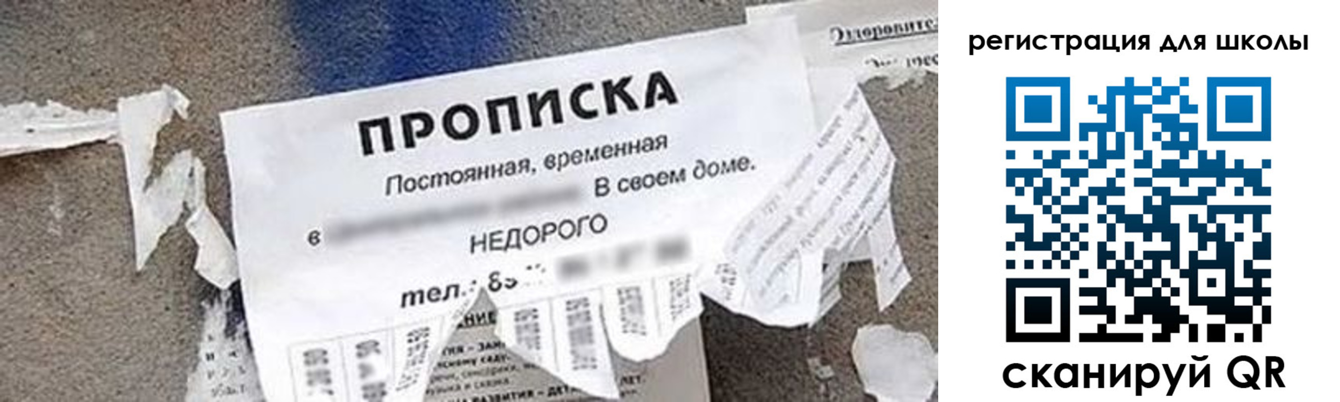 временная регистрация поиск в Александрове